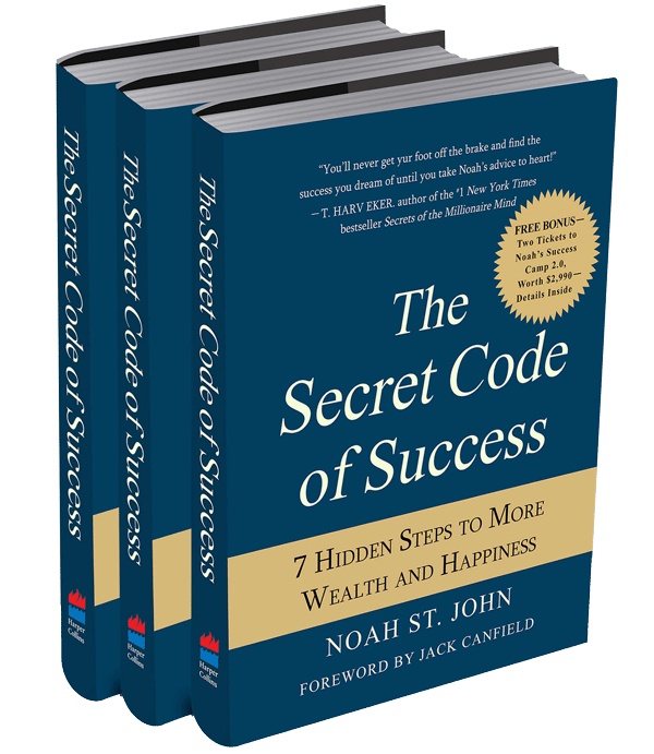 secret code of success book